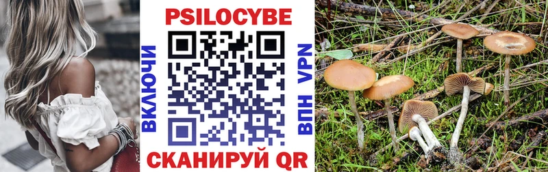 Галлюциногенные грибы Psilocybe  закладка  Тула 