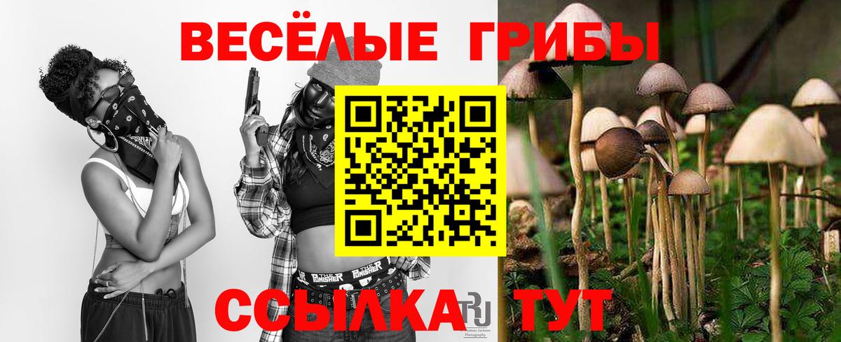 Галлюциногенные грибы прущие грибы  купить закладку  Тула  Вход с VPN  Галлюциногенные грибы Cubensis 